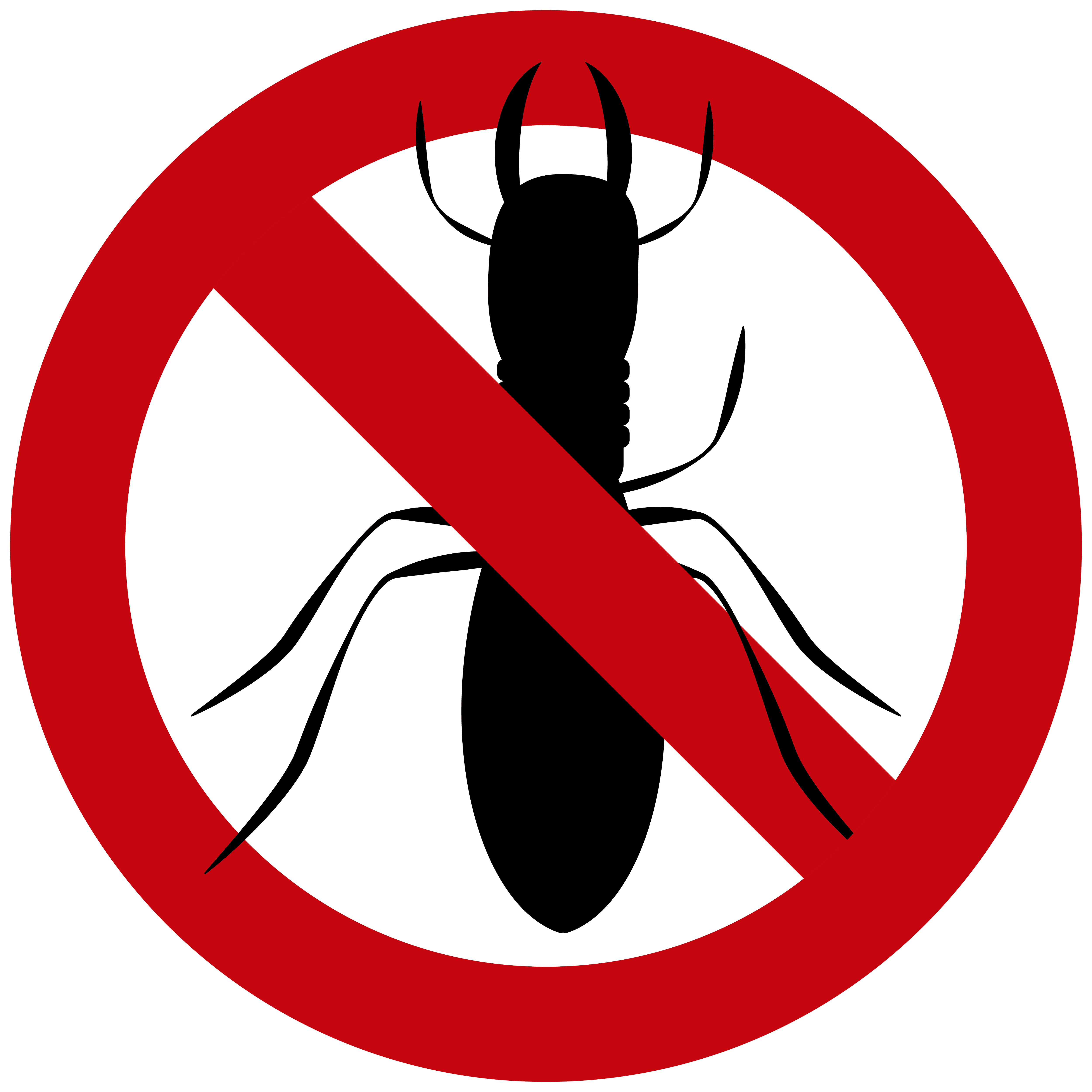 —Pngtree—anti termite icon_8497220
